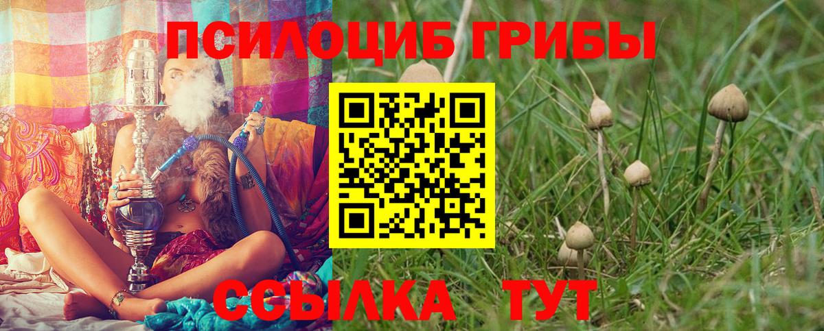 Галлюциногенные грибы Magic Shrooms  Галлюциногенные грибы GOLDEN TEACHER  Вход с VPN  Кстово 